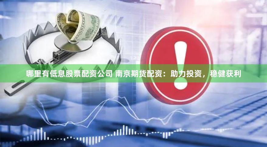 哪里有低息股票配资公司 南京期货配资：助力投资，稳健获利